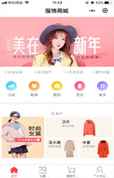 模板网站建设
