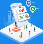 社区团购小程序运营注意事项整理