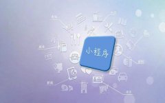 大树小程序开发公司给你侃一侃不同类型小程序